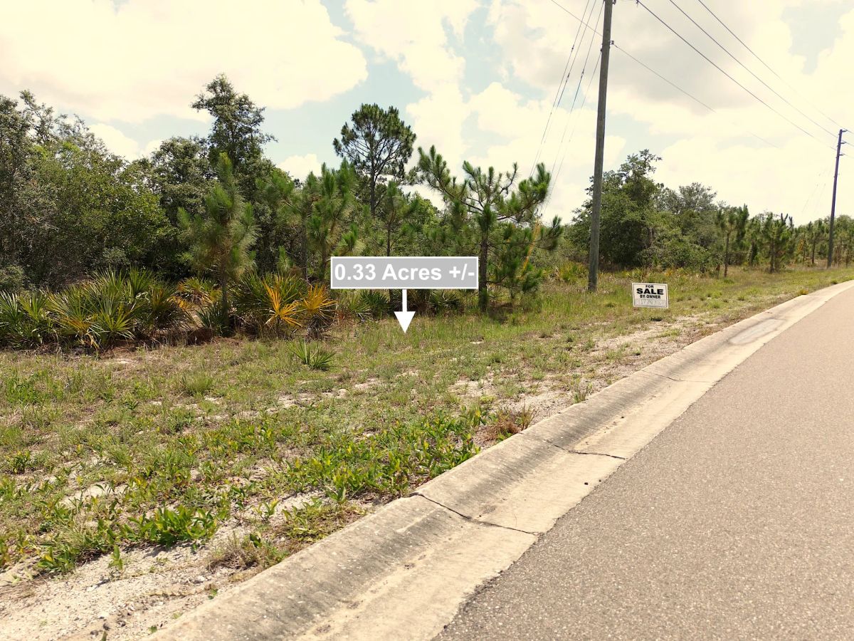 Decorative background for 0.33 Acres Land For Sale In Sebring image 8