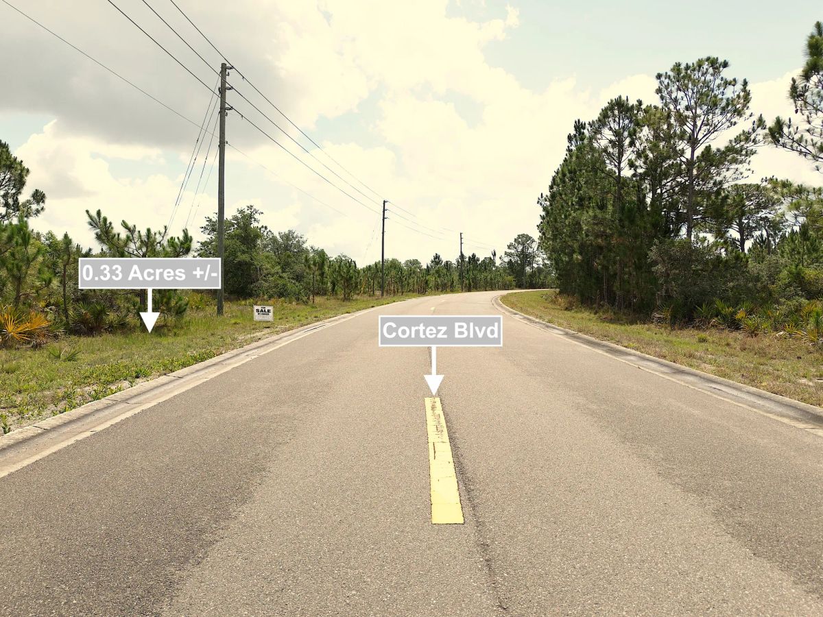 Decorative background for 0.33 Acres Land For Sale In Sebring image 9