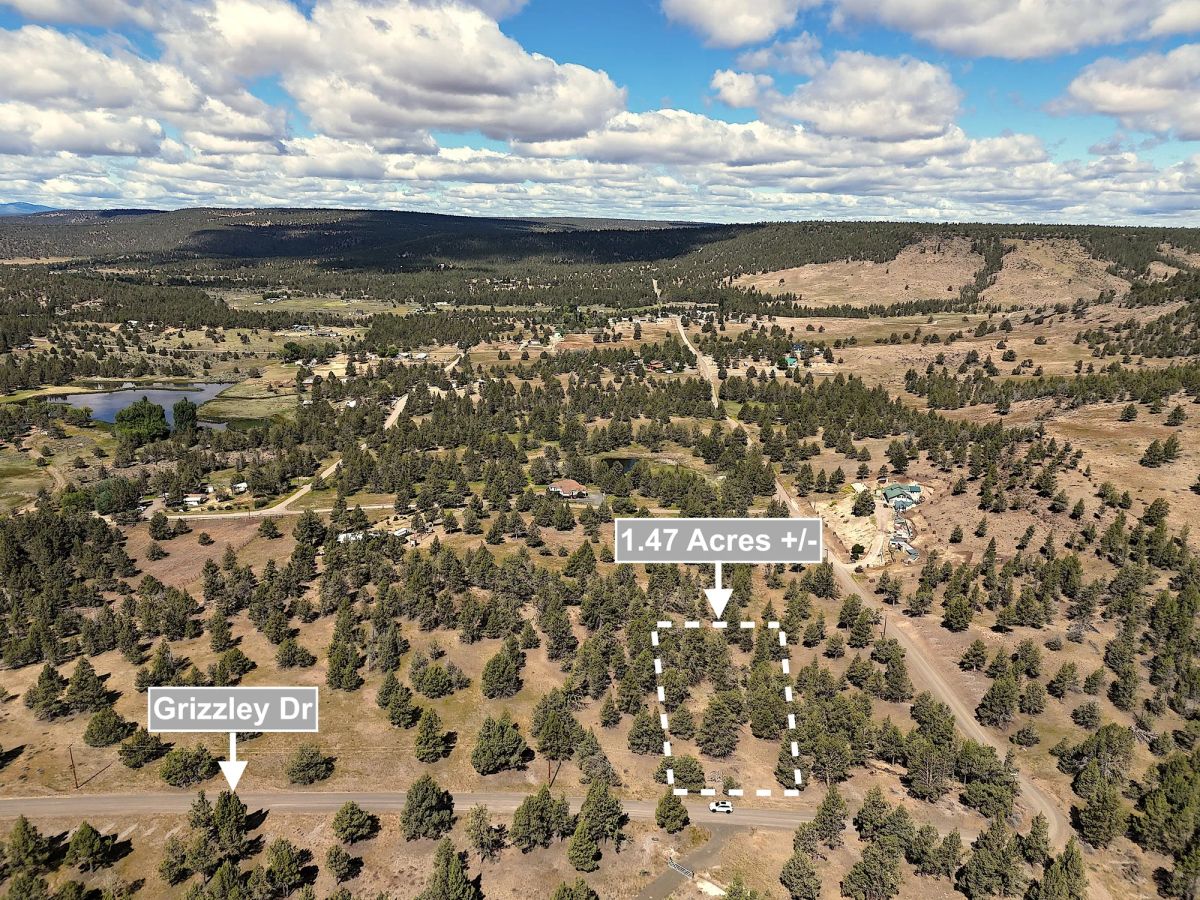 1.47 Acres Land For Sale In Alturas CA - Main image