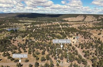 1.47 Acres Land For Sale In Alturas CA