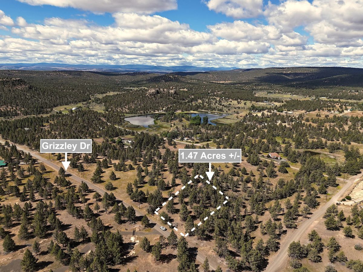 1.47 Acres Land For Sale In Alturas CA - Image 3