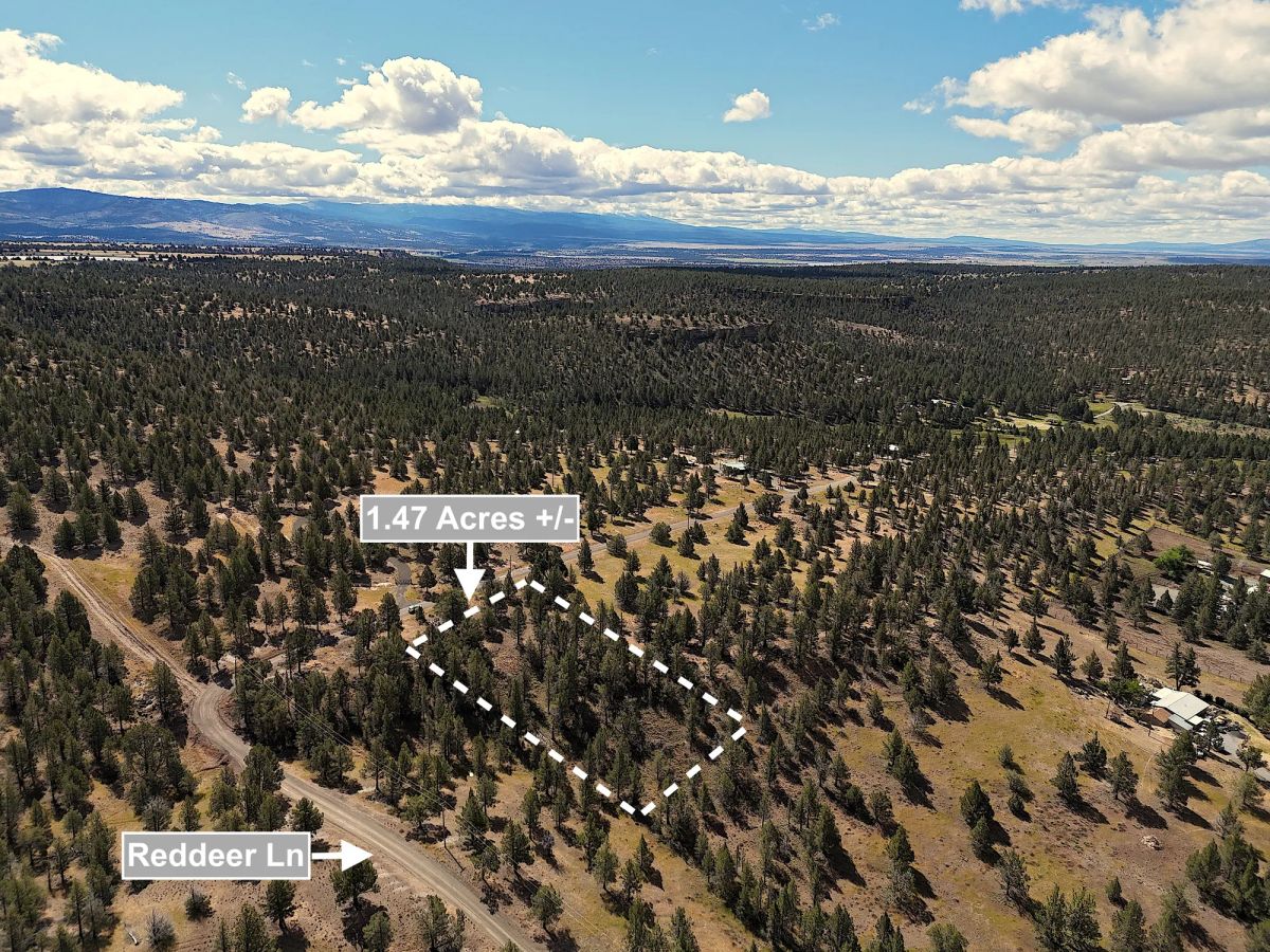 1.47 Acres Land For Sale In Alturas CA - Image 4