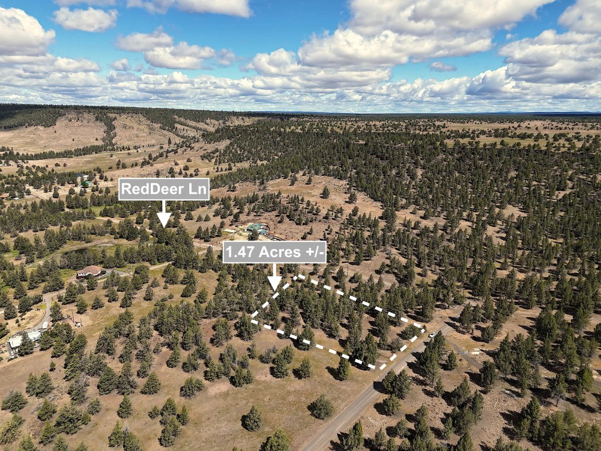 Decorative background for 1.47 Acres Land For Sale In Alturas CA image 5