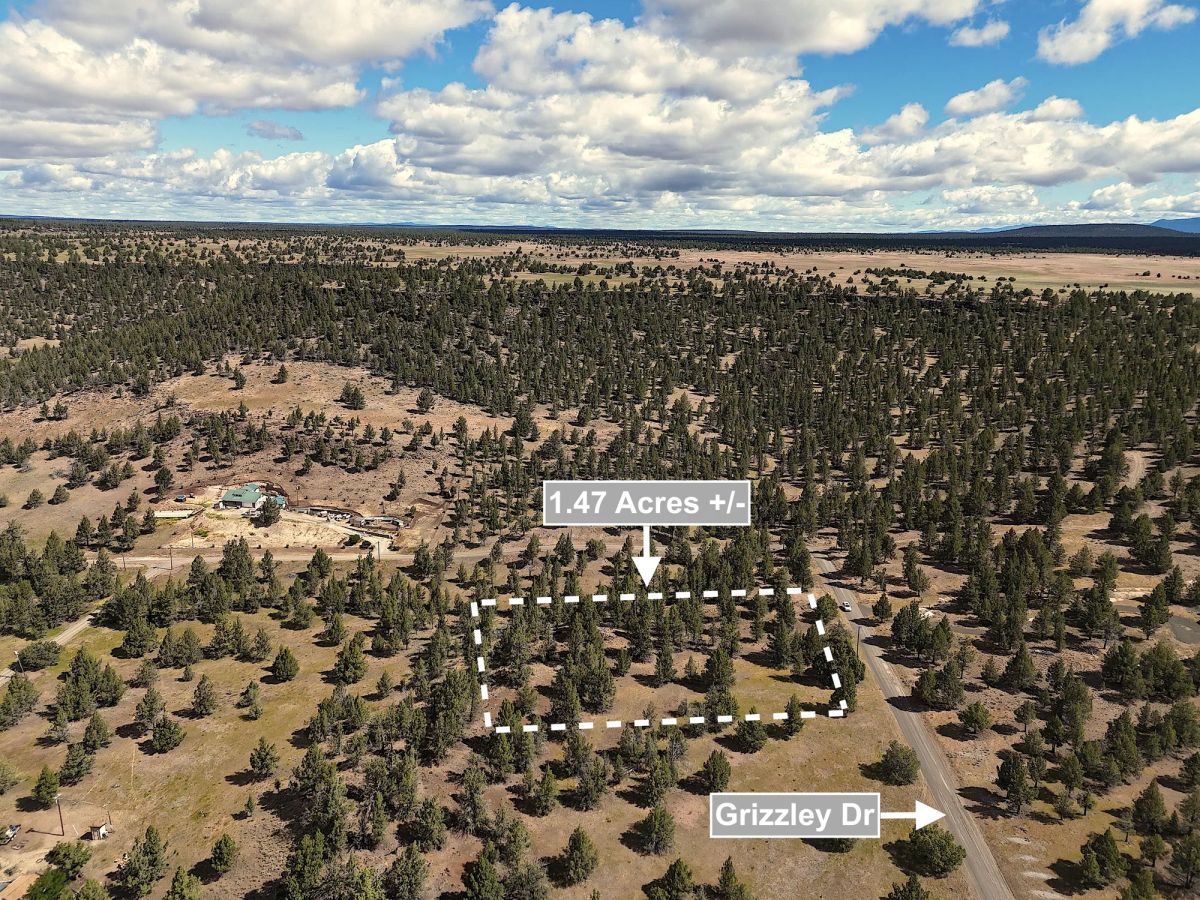 Decorative background for 1.47 Acres Land For Sale In Alturas CA image 6
