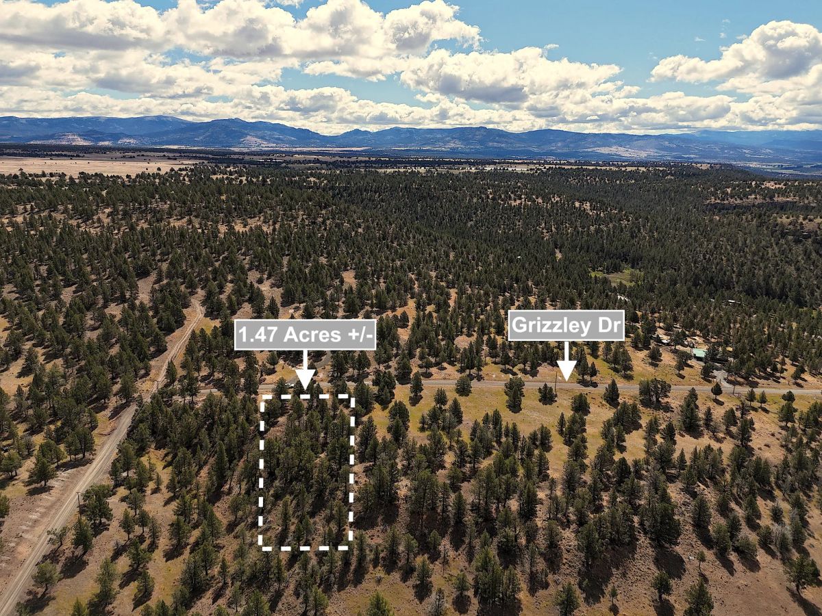 Decorative background for 1.47 Acres Land For Sale In Alturas CA image 7