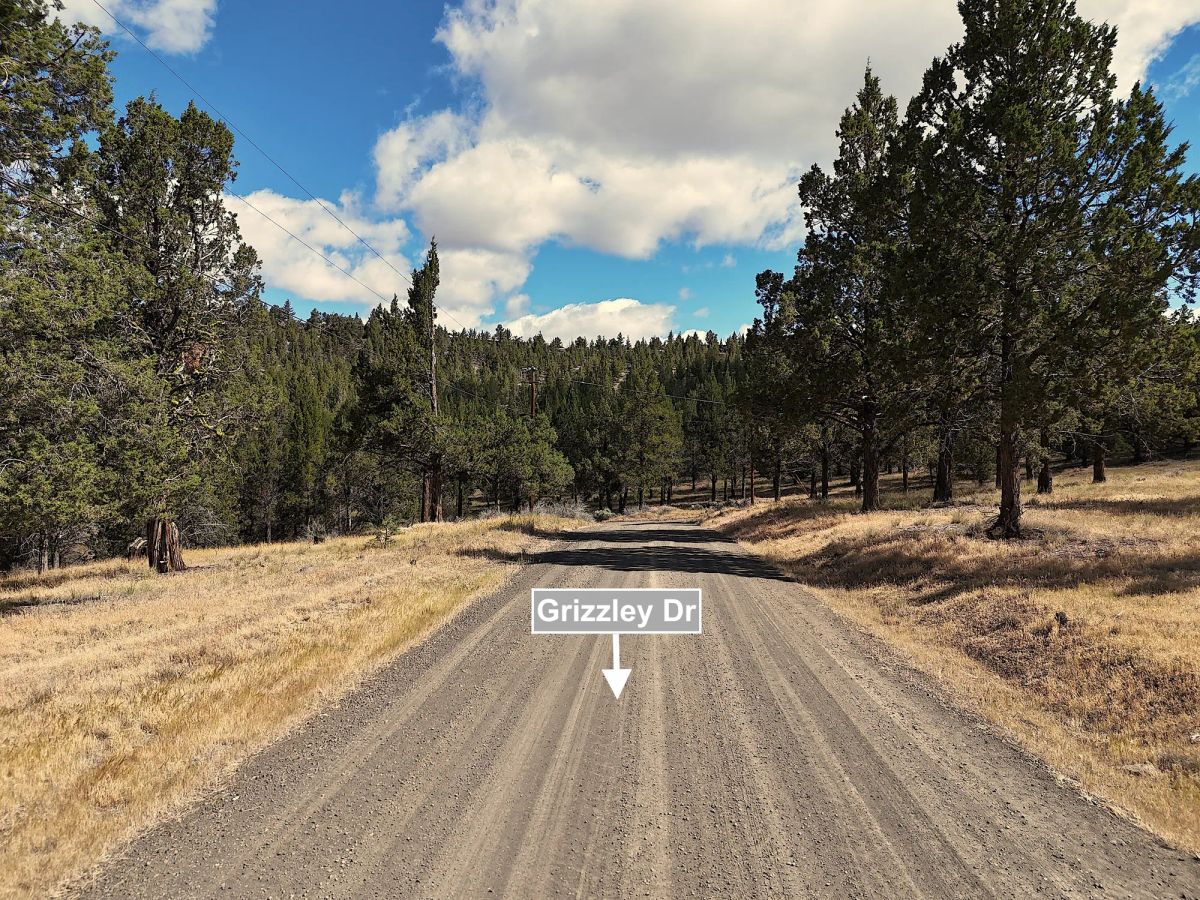 Decorative background for 1.47 Acres Land For Sale In Alturas CA image 8