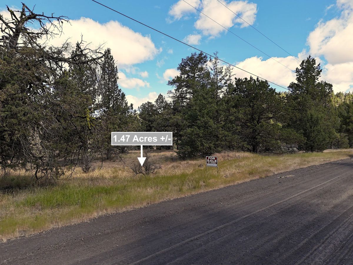 Decorative background for 1.47 Acres Land For Sale In Alturas CA image 9