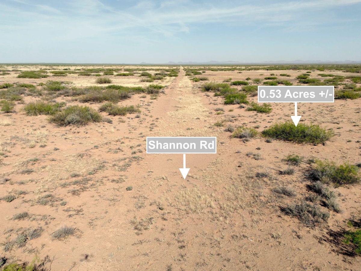 Decorative background for 0.53 Acres Land For Sale In Deming NM image 8