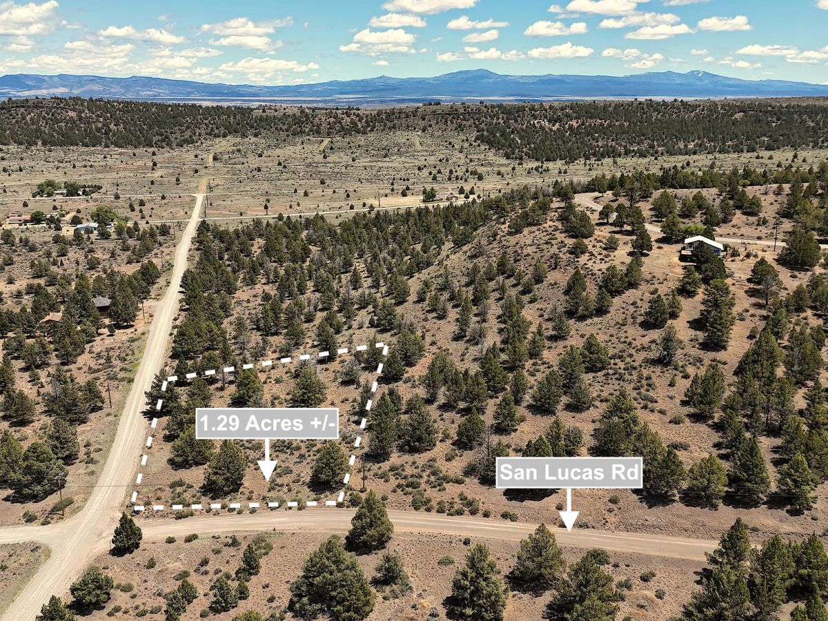 1.29 Acres Land For Sale In Alturas CA - Main image