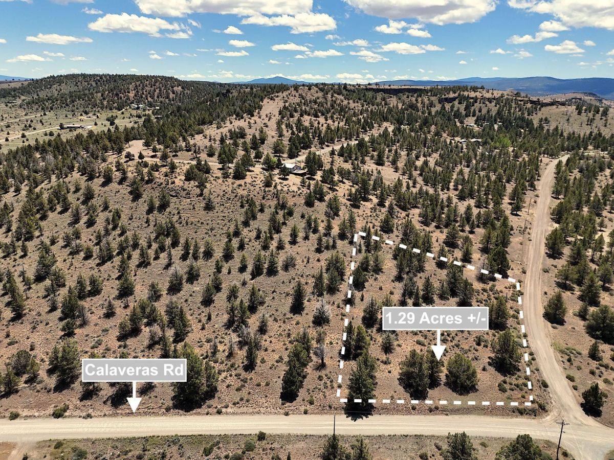 1.29 Acres Land For Sale In Alturas CA - Image 2