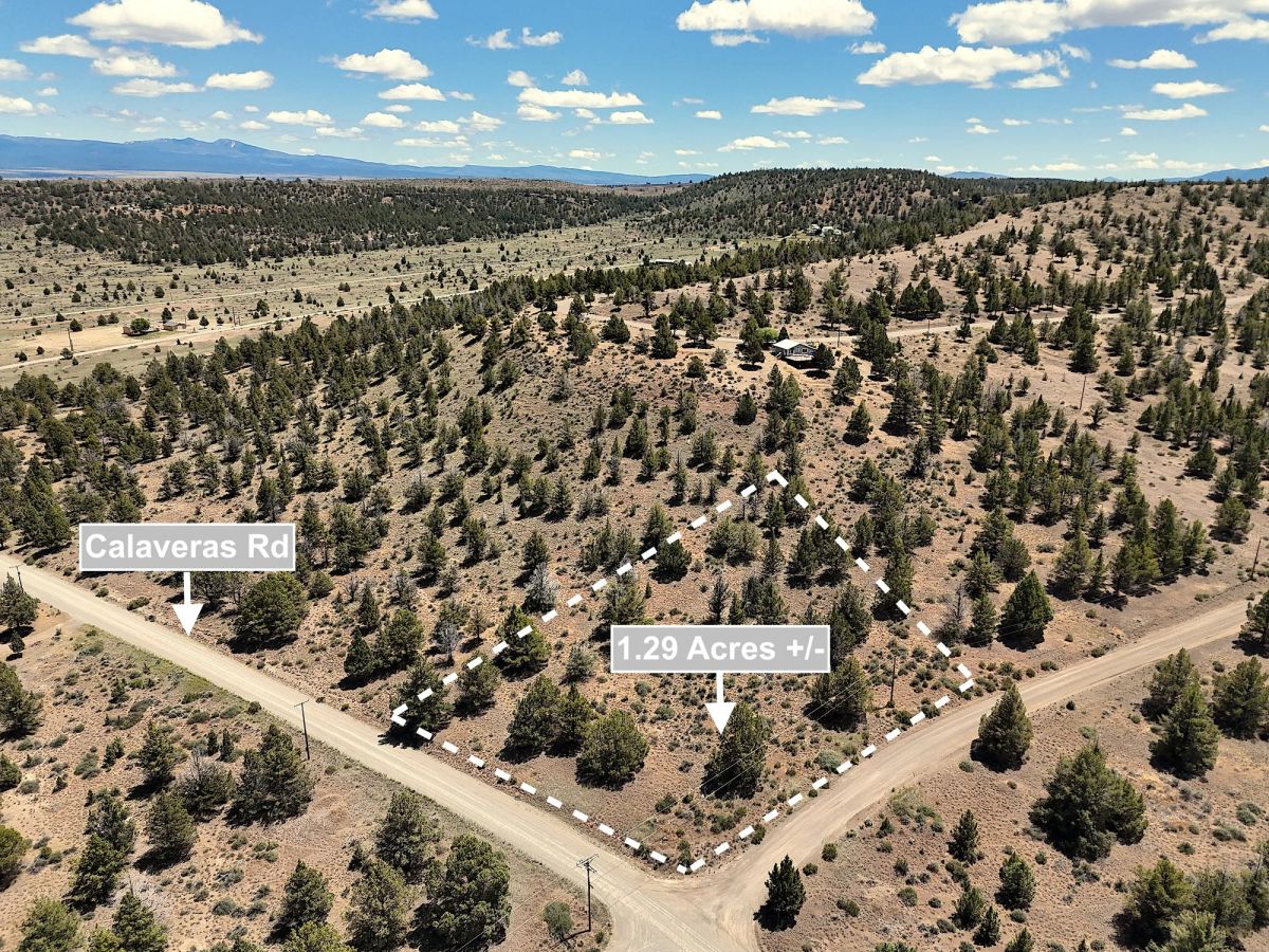 1.29 Acres Land For Sale In Alturas CA - Image 4