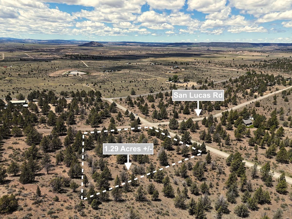 Decorative background for 1.29 Acres Land For Sale In Alturas CA image 5