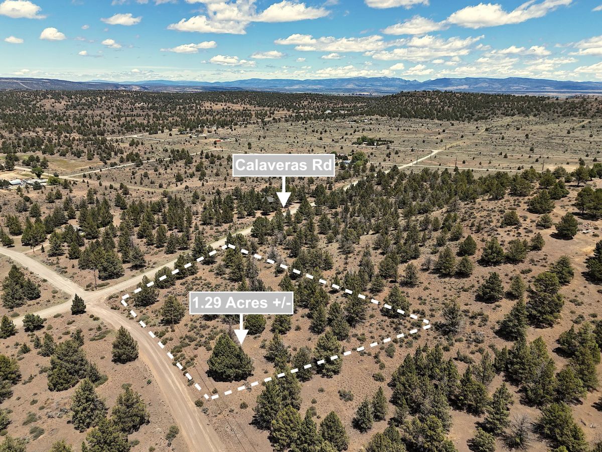 Decorative background for 1.29 Acres Land For Sale In Alturas CA image 6