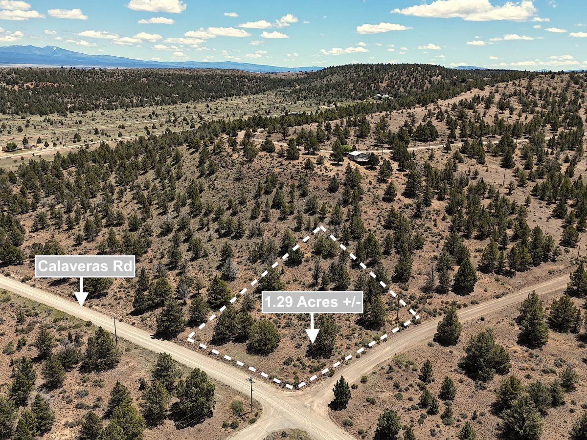 Decorative background for 1.29 Acres Land For Sale In Alturas CA image 7