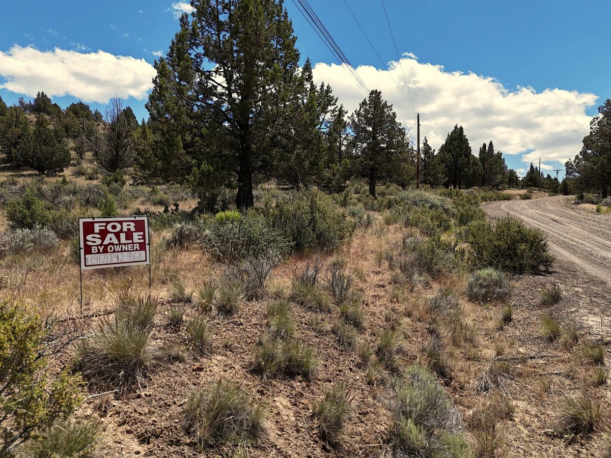 Decorative background for 1.29 Acres Land For Sale In Alturas CA image 8