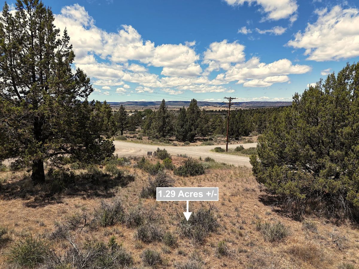 Decorative background for 1.29 Acres Land For Sale In Alturas CA image 9