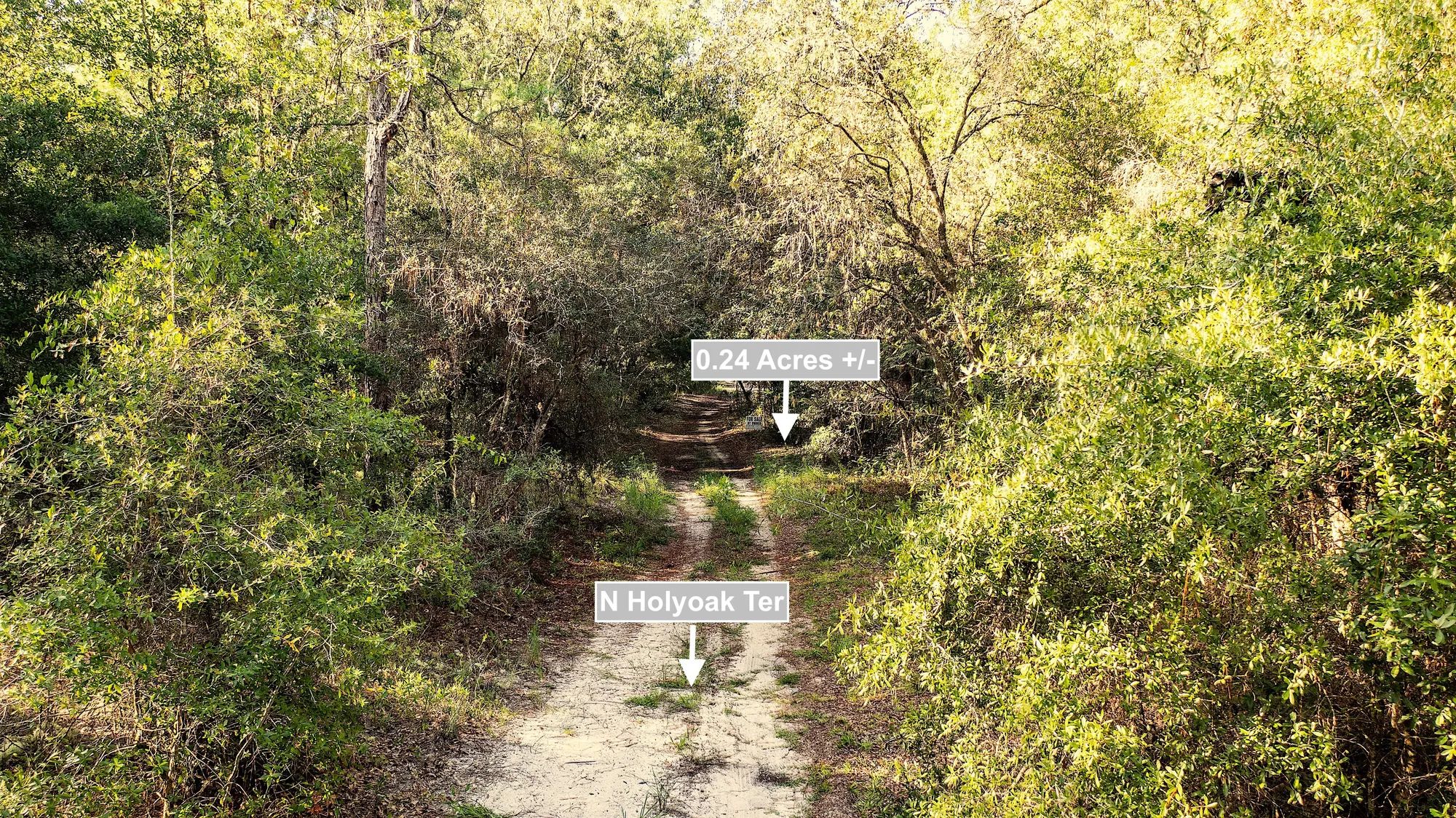 0.24 Acres Land For Sale In Dunnellon in Citrus County, FL