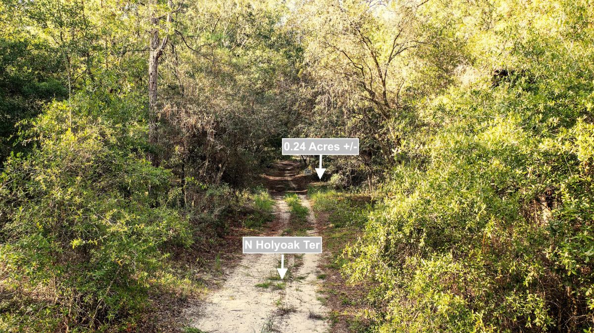 0.24 Acres Land For Sale In Dunnellon - Image 2