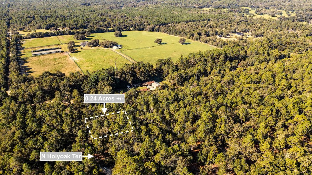 0.24 Acres Land For Sale In Dunnellon - Image 3