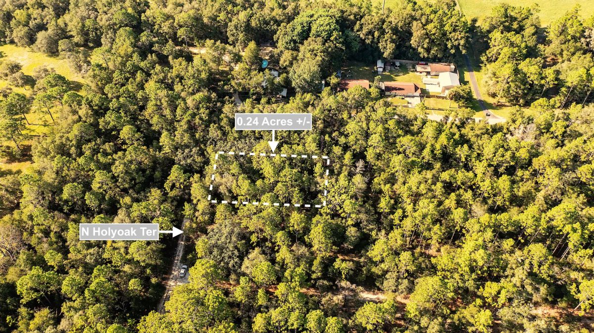 0.24 Acres Land For Sale In Dunnellon - Image 4