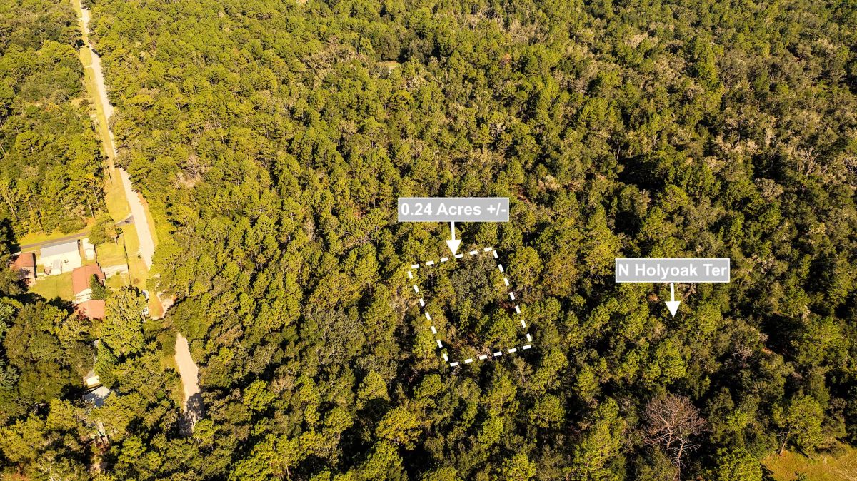 Decorative background for 0.24 Acres Land For Sale In Dunnellon image 5
