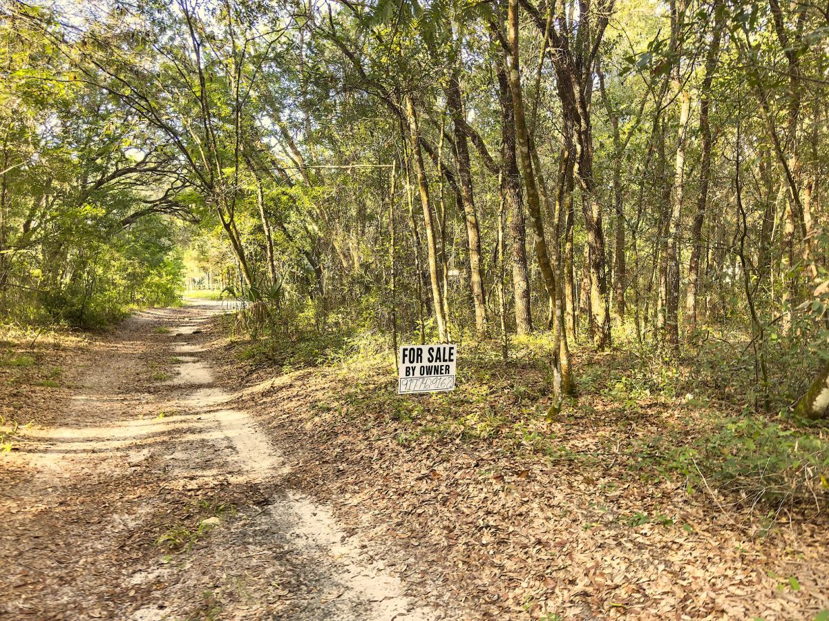 Decorative background for 0.24 Acres Land For Sale In Dunnellon image 7