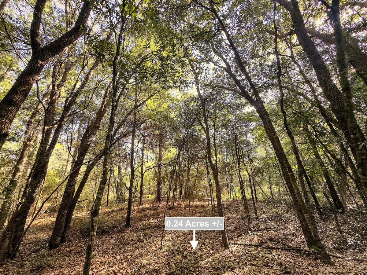 Decorative background for 0.24 Acres Land For Sale In Dunnellon image 8