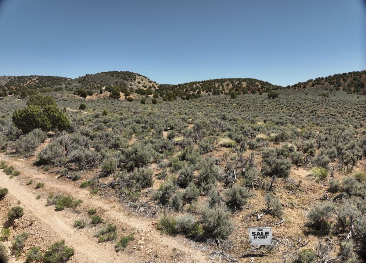 Decorative background for 1.13 Acres Land For Sale In Elko NV image 10