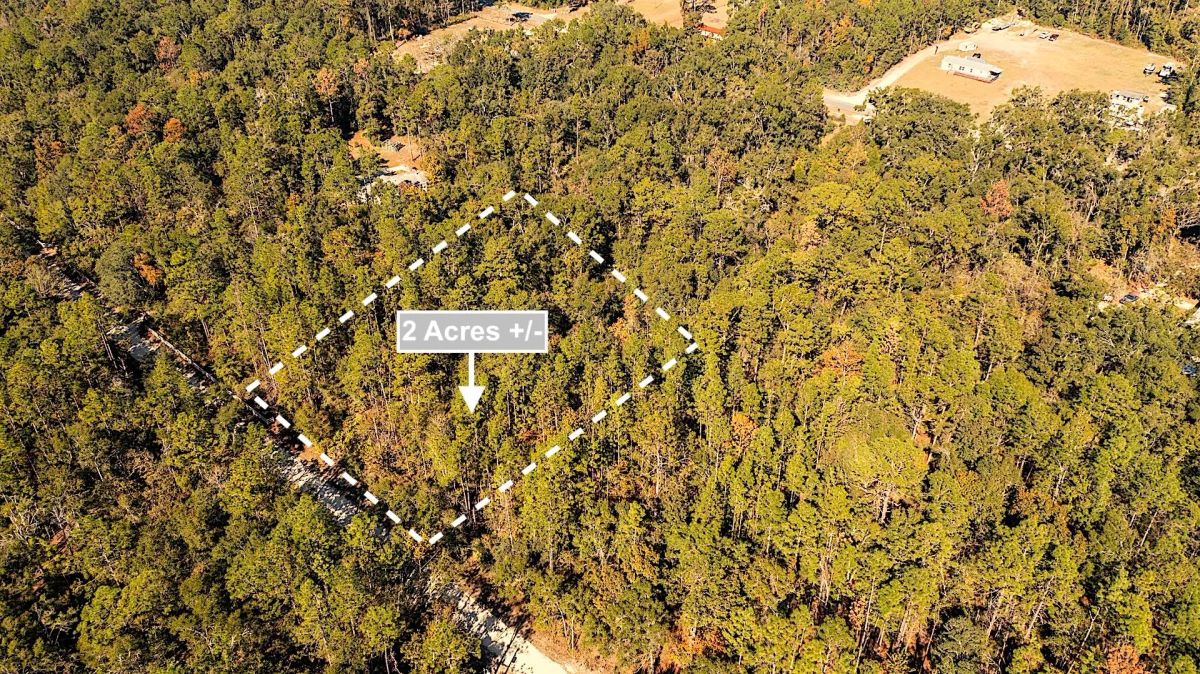 2 Acres Land For Sale Near Suwannee River In O Brien - Main image