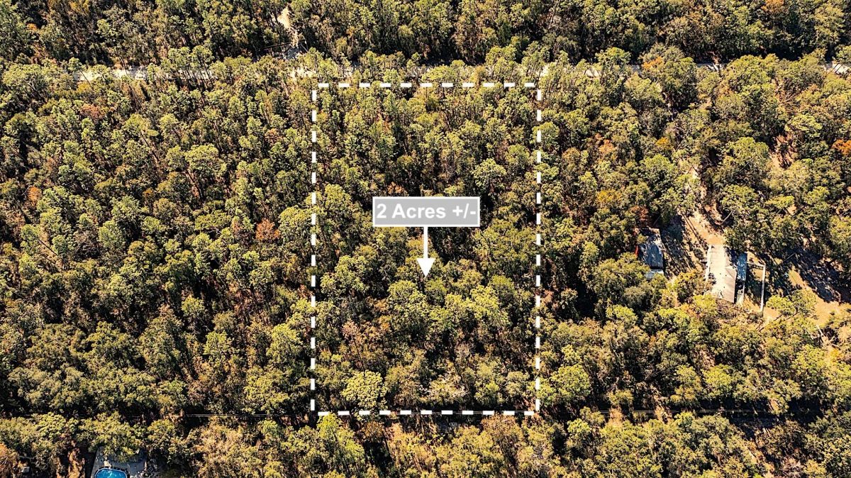 2 Acres Land For Sale Near Suwannee River In O Brien - Image 2