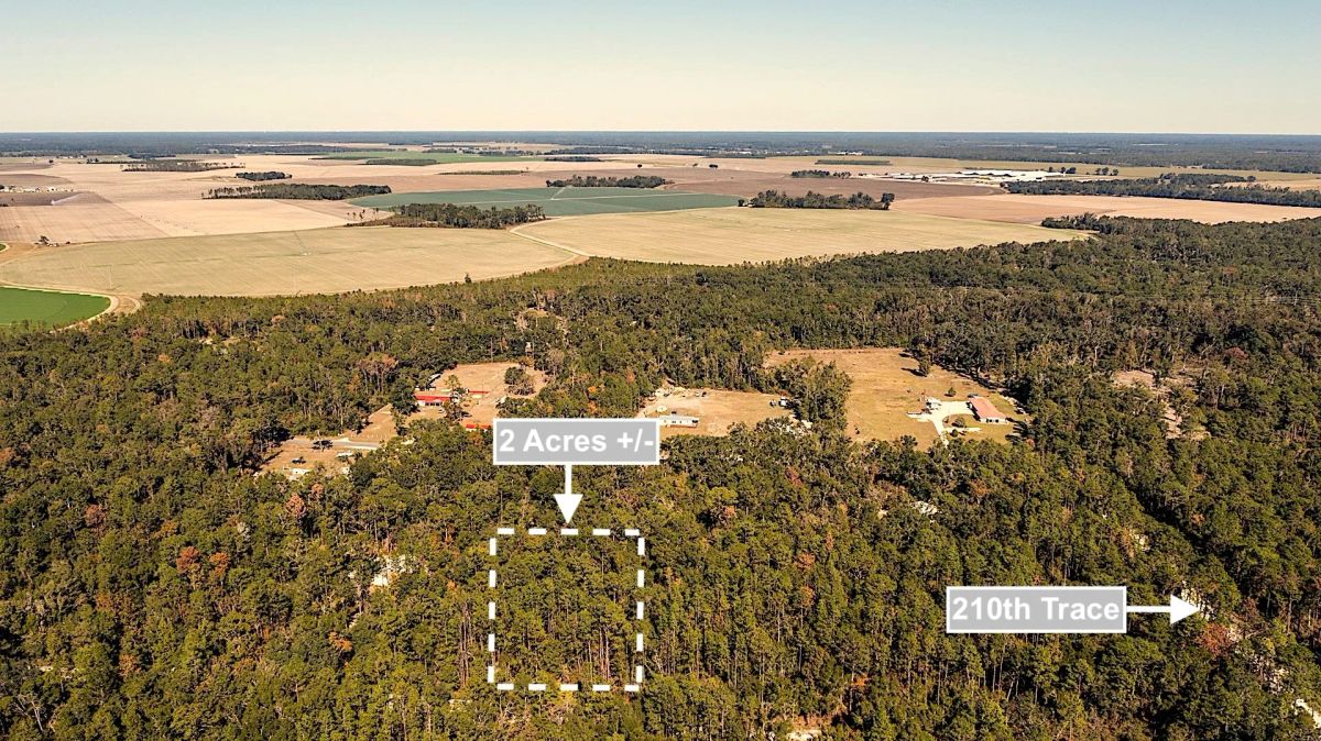 2 Acres Land For Sale Near Suwannee River In O Brien - Image 3
