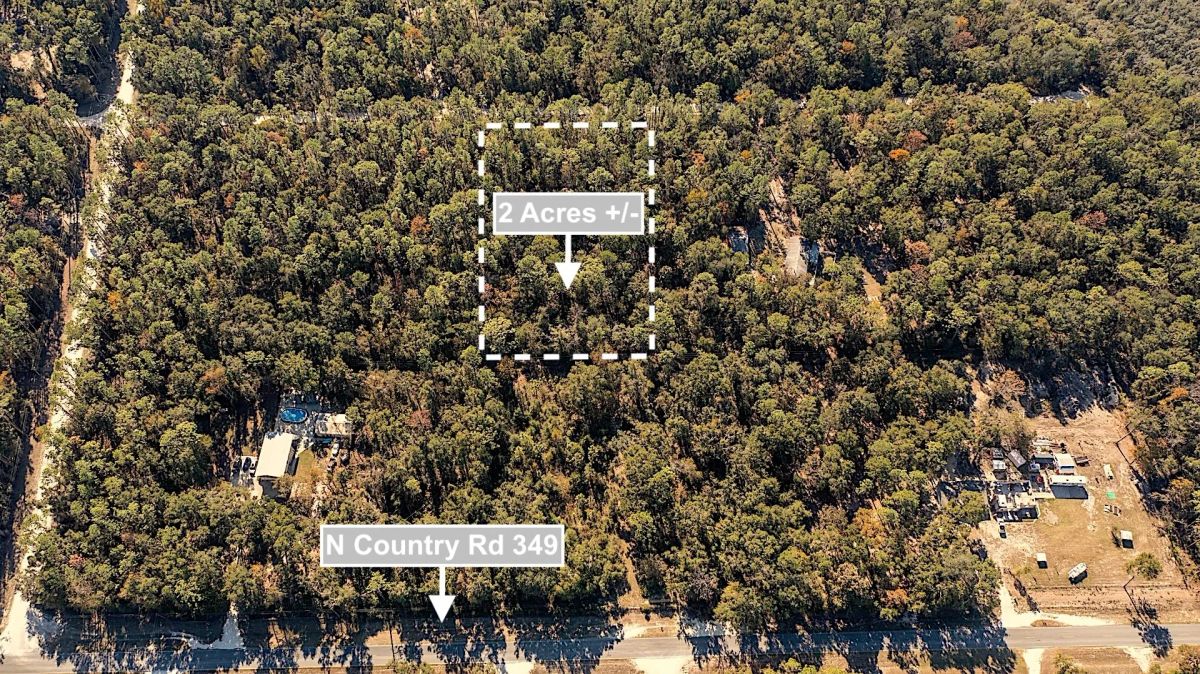 2 Acres Land For Sale Near Suwannee River In O Brien - Image 4