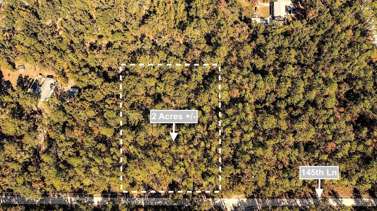 Decorative background for 2 Acres Land For Sale Near Suwannee River In O Brien image 5