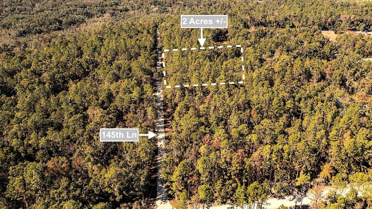 Decorative background for 2 Acres Land For Sale Near Suwannee River In O Brien image 7