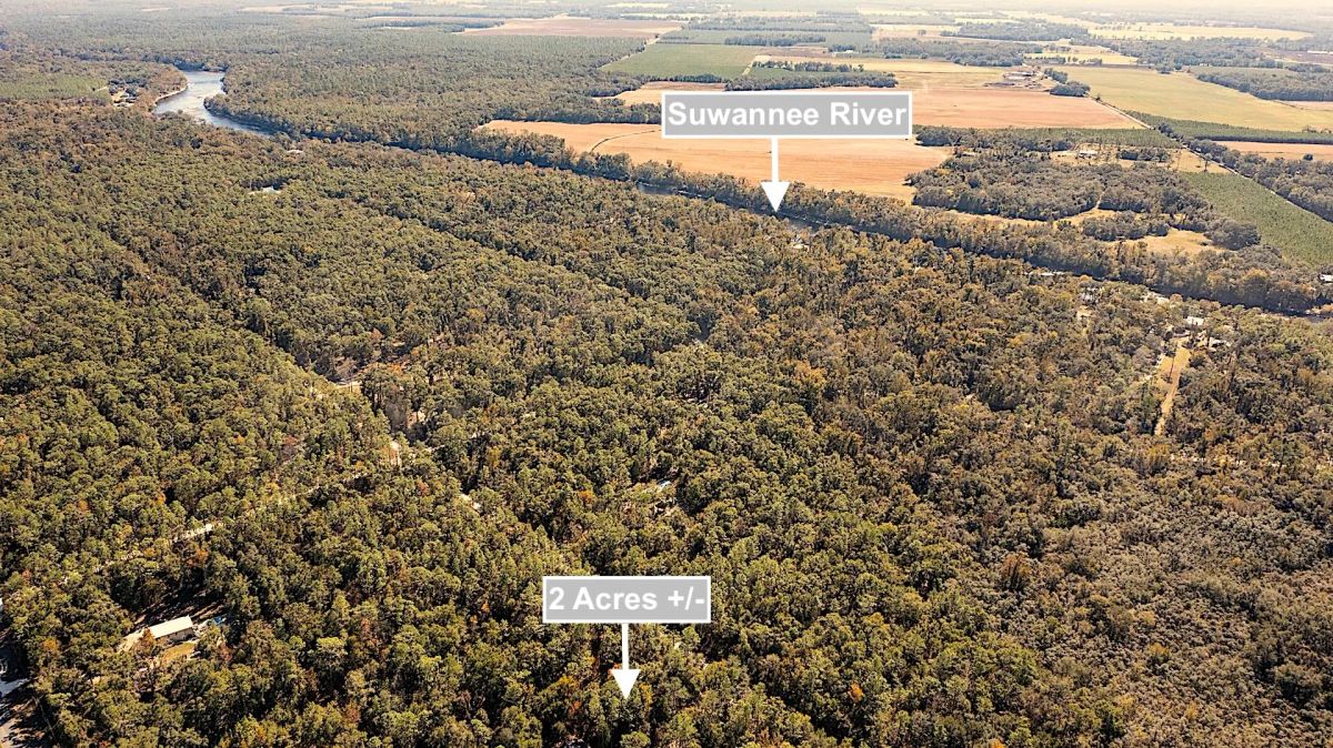 Decorative background for 2 Acres Land For Sale Near Suwannee River In O Brien image 8