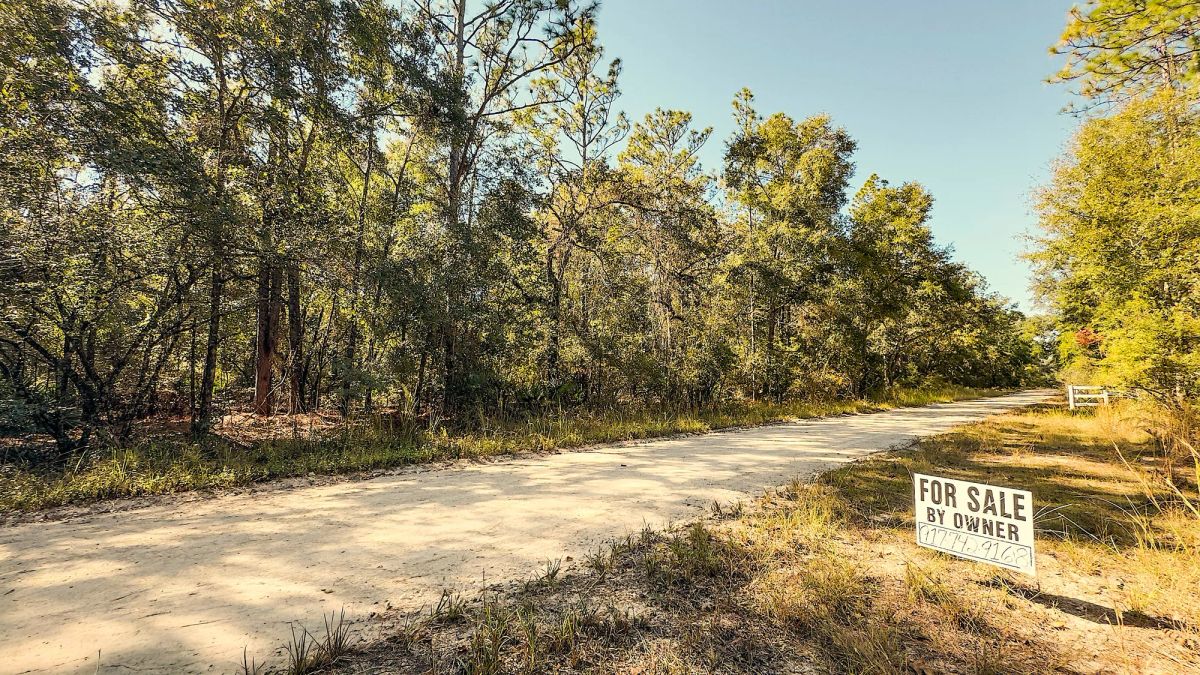 Decorative background for 2 Acres Land For Sale Near Suwannee River In O Brien image 9