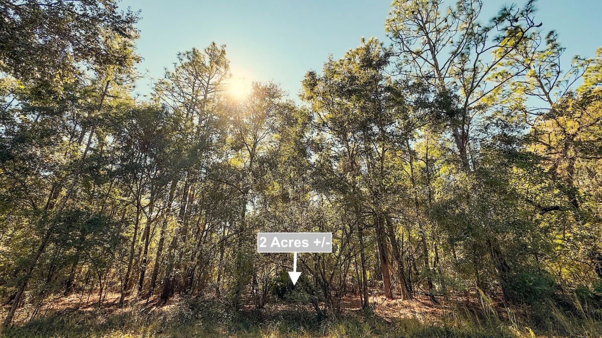 Decorative background for 2 Acres Land For Sale Near Suwannee River In O Brien image 10