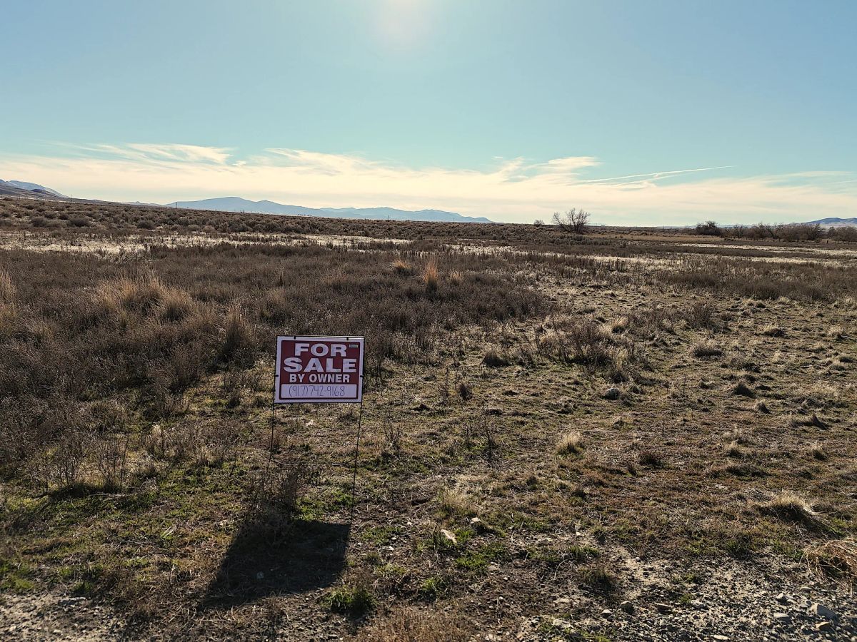 Decorative background for 1.52 Acres Land For Sale In Lovelock NV image 6