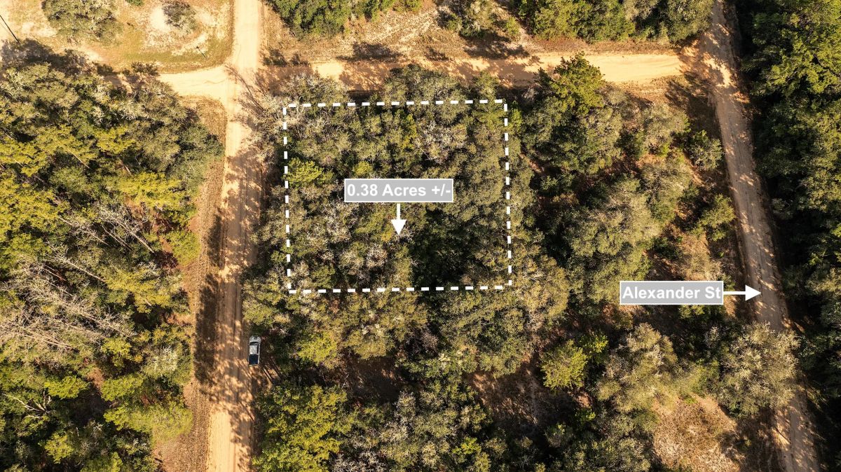 0.38 Acres Corner Lot In Interlachen - Image 2