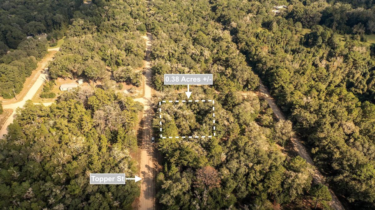 0.38 Acres Corner Lot In Interlachen - Image 4