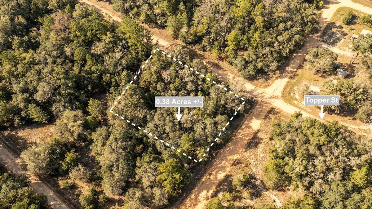 Decorative background for 0.38 Acres Corner Lot In Interlachen image 5