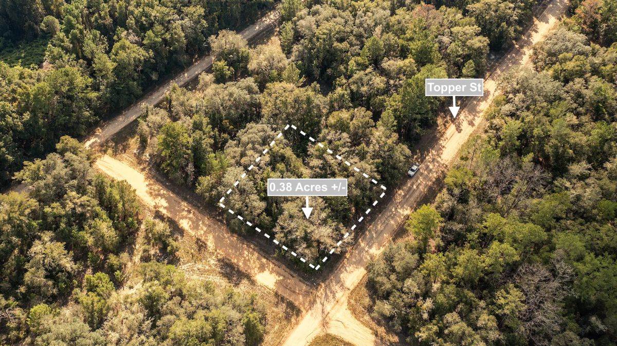 Decorative background for 0.38 Acres Corner Lot In Interlachen image 6