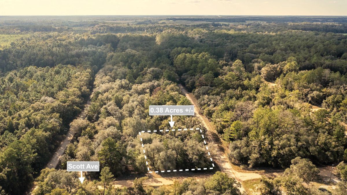 Decorative background for 0.38 Acres Corner Lot In Interlachen image 7