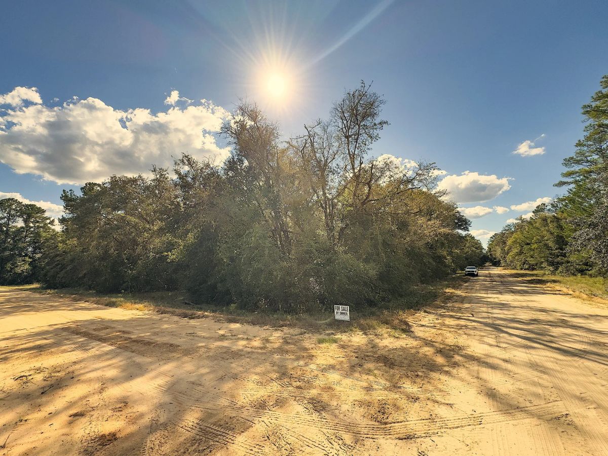 Decorative background for 0.38 Acres Corner Lot In Interlachen image 8