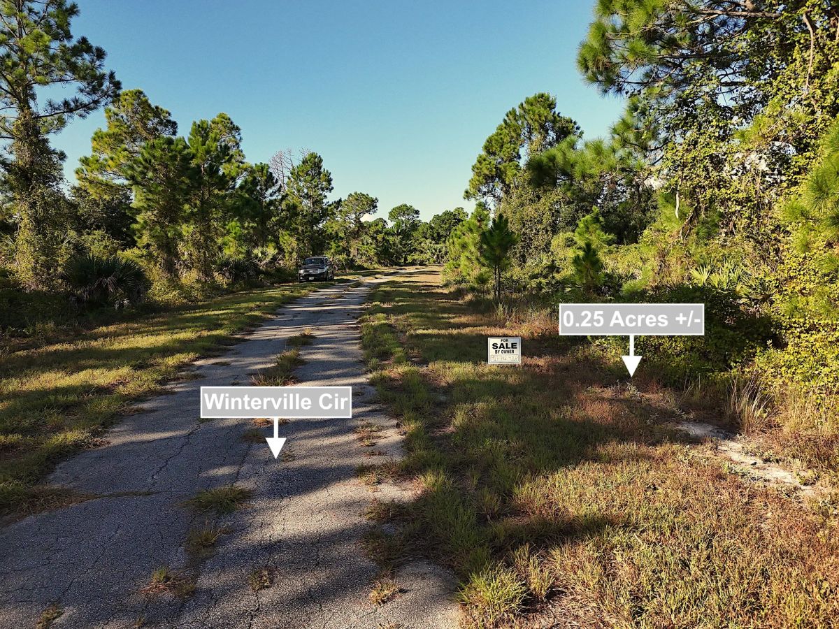 Decorative background for 0.25 Acres Land For Sale In North Port image 9