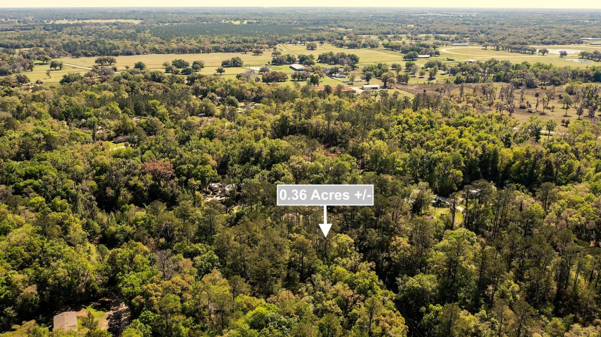 Decorative background for 0.36 Acres Land For Sale In Ocala FL image 7