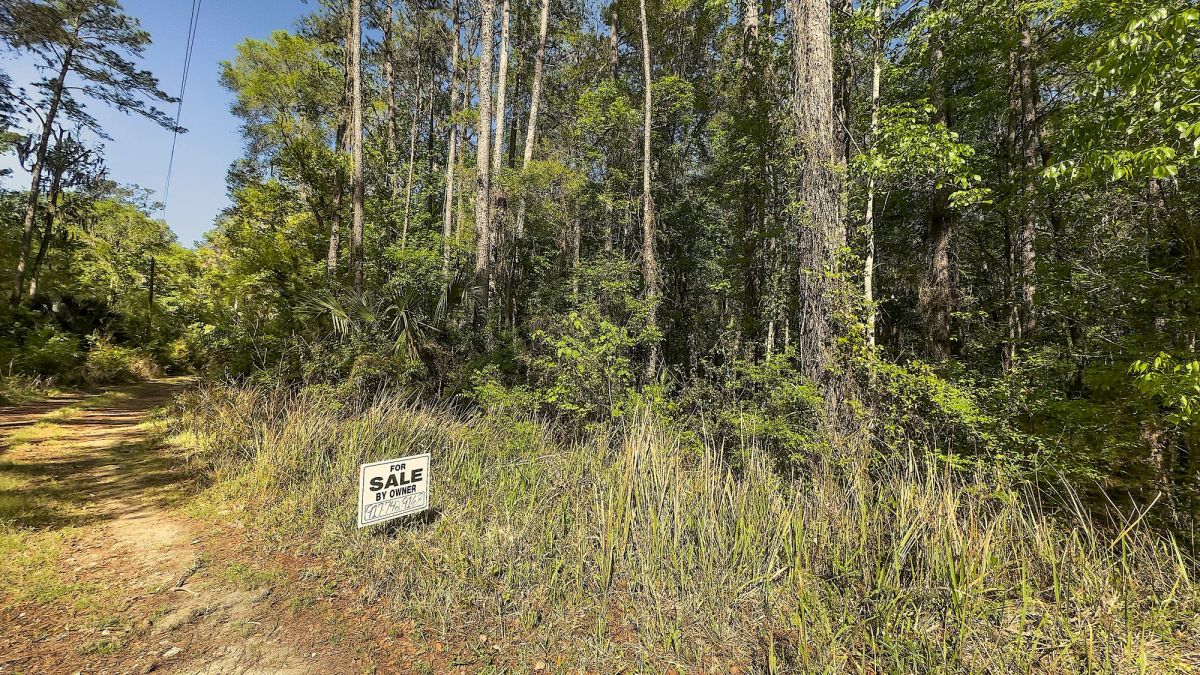 Decorative background for 0.36 Acres Land For Sale In Ocala FL image 9