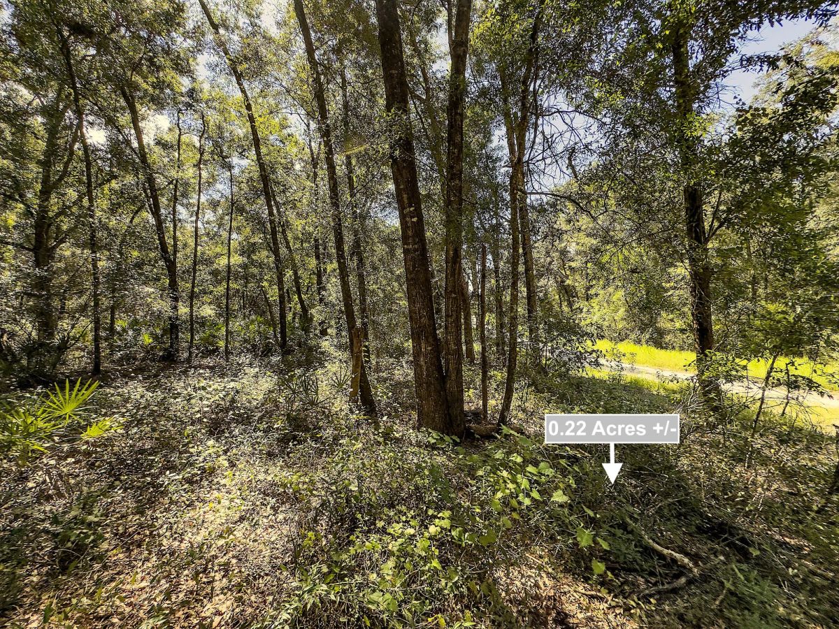 Decorative background for 0.22 Acres Land For Sale In Trenton image 8