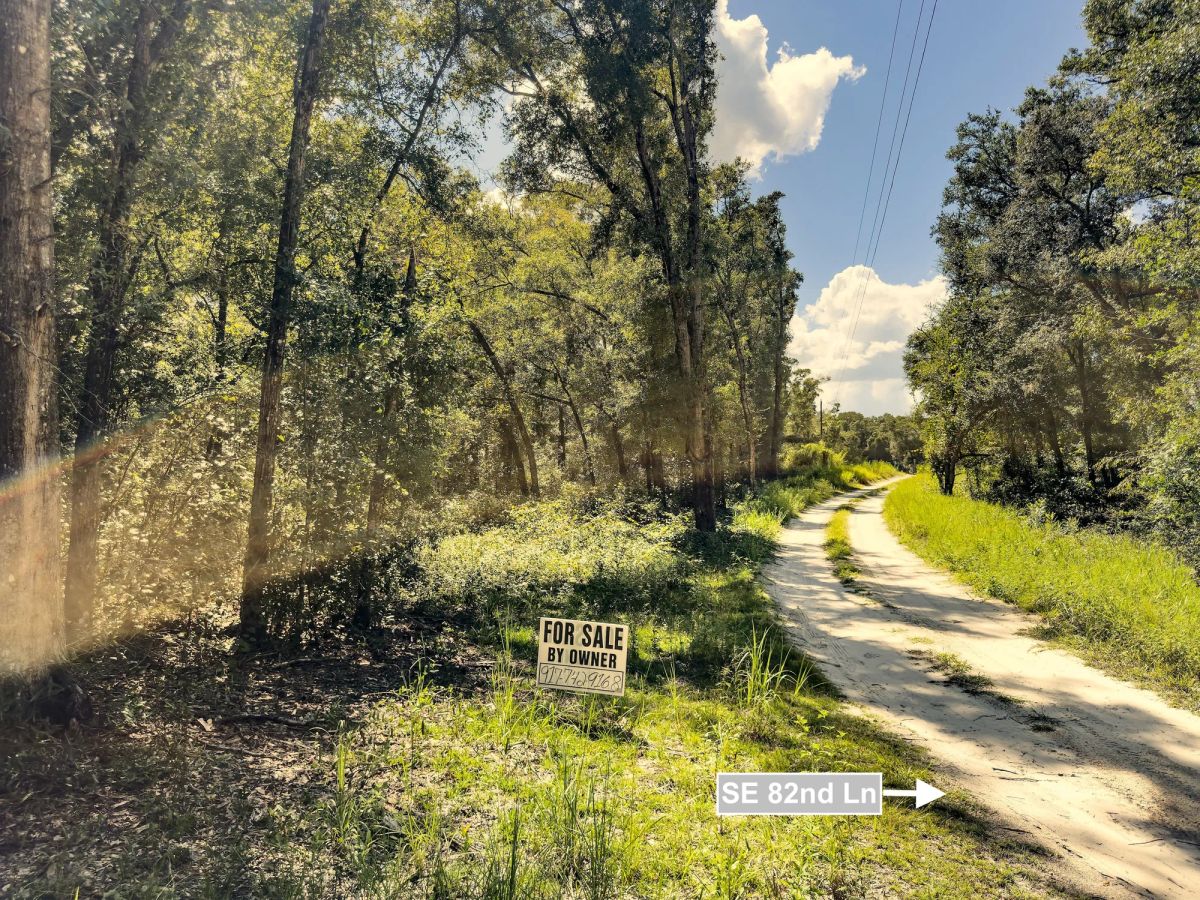 Decorative background for 0.22 Acres Land For Sale In Trenton image 9