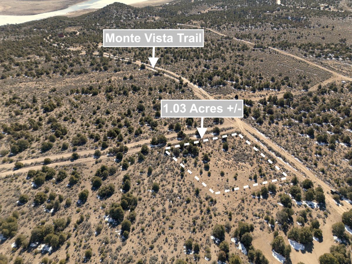 1.03 Acres Land In San Luis CO - Image 2